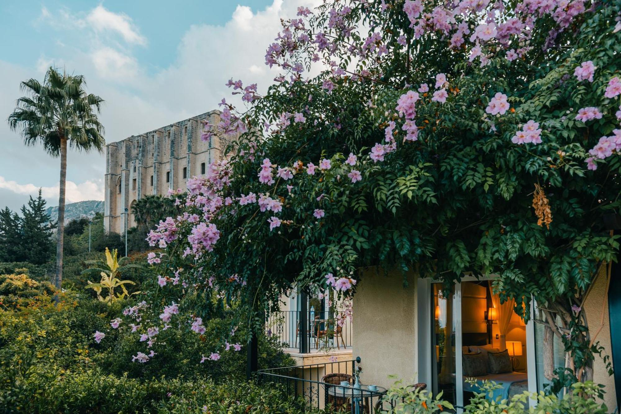 Bellapais Gardens Vandrarhem Exteriör bild