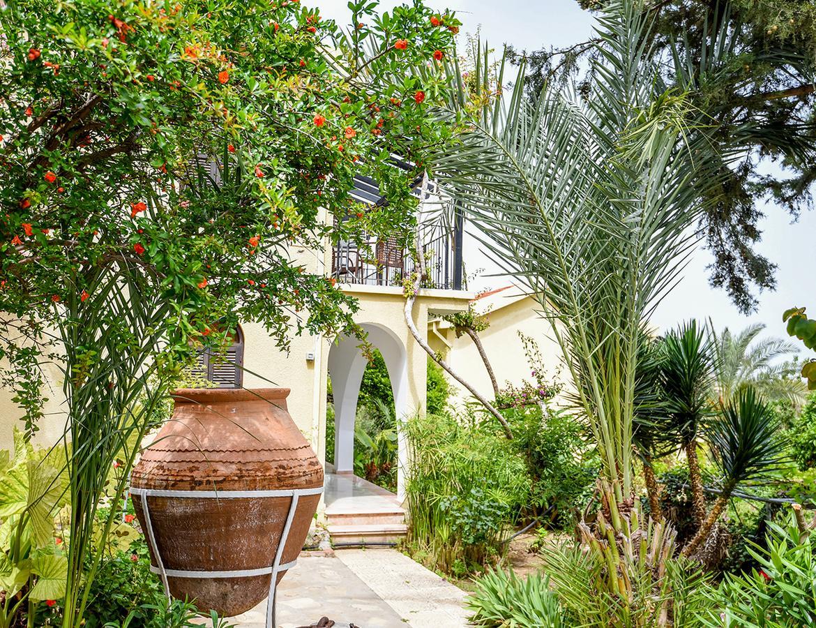 Bellapais Gardens Vandrarhem Exteriör bild